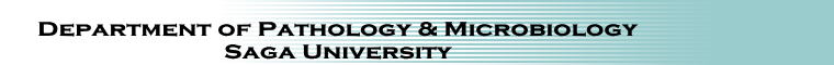 Department of Pathology & Microbiology Saga University 